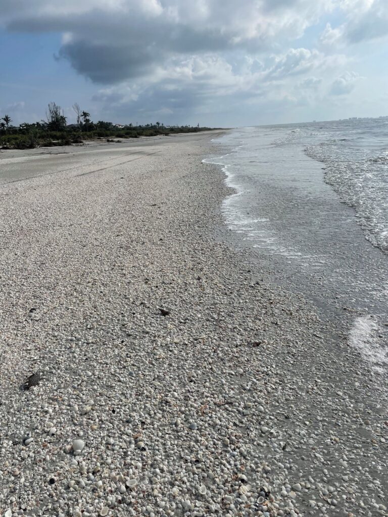 Tarpon Tale Inn beach